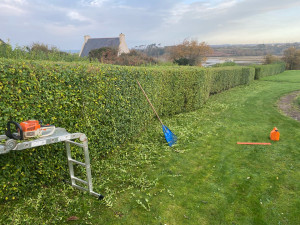 Photo de galerie - Chantier en cours réalisé par mes soins : taille de troène sur le conquet.