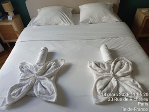 Photo de galerie - Un menage avec de linges d'hôtellerie haut de gamme