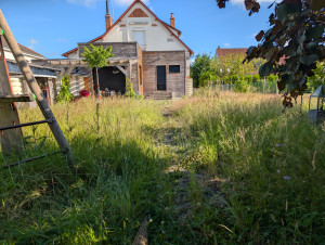 Photo de galerie - Tonte de pelouse - Débroussaillage