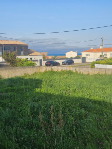 Photo de galerie - 
Débrousaillage