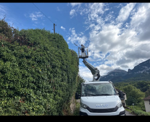 Photo de galerie - Taille de haie avec engin élévateur évacuation des déchet vert 