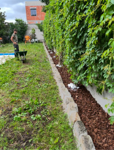 Photo de galerie - Aménagement du jardin 