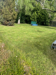 Photo de galerie - Tonte,Débroussaillage 