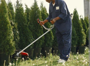 Photo de galerie - Travail bien fait 