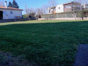 Photo de galerie - Tonte simple