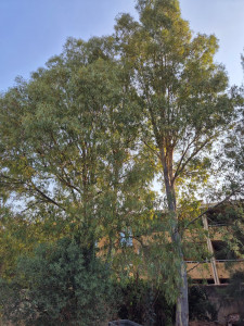 Photo de galerie - Jardinier