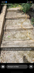 Photo de galerie - Escalier après rénovation 