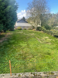 Photo de galerie - Tonte