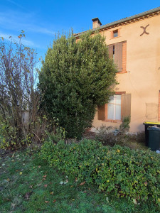 Photo de galerie - Taille de haies et d'arbustes