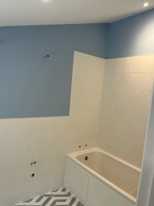 Photo de galerie - SDB