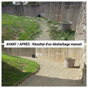 Photo de galerie - Désherbage à la main.