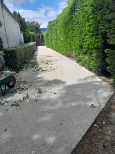 Photo de galerie - Taille de haies 