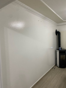 Photo de galerie - Peinture murale 