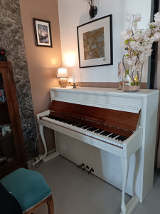 Photo de galerie - Relooking d'un piano 