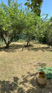 Photo de galerie - APRÈS - Jardin Propre et aéré après une tonde de pelouse et une taille de branches d’arbres !