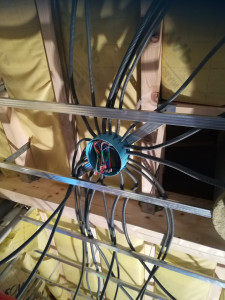 Photo de galerie - Pieuvre électrique