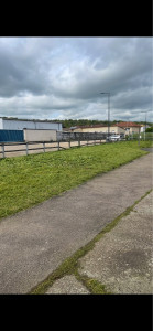 Photo de galerie - Tonte de pelouse - Débroussaillage