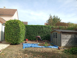 Photo de galerie - Taille de haie
