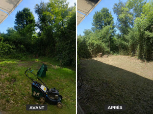 Photo de galerie - Coup de propre d'un bout de jardin