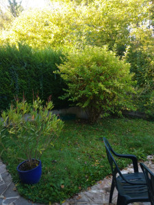 Photo de galerie - Paysagiste - Aménagement du jardin