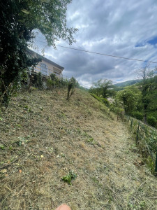 Photo de galerie - Débroussailler ronces 