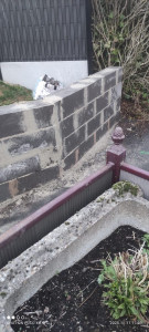 Photo de galerie - Création mur