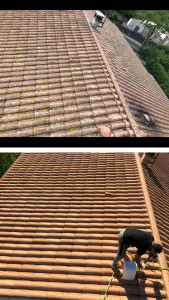 Photo de galerie - Couverture - Toiture