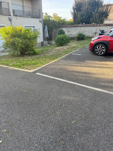 Photo de galerie - Tonte de pelouse 