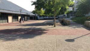 Photo de galerie - Jardinier