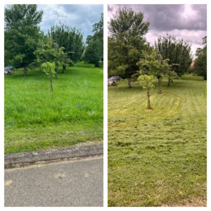 Photo de galerie - Paysagiste - Aménagement du jardin
