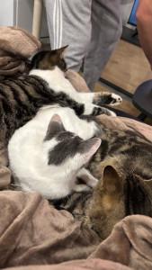 Photo de galerie - ?