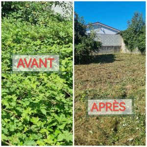 Photo de galerie - Debrousaillage sur 1m80 d'un terrain envahi par les ronces