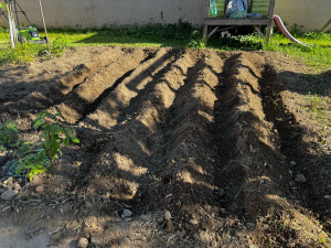 Photo de galerie - Tranchées de potager