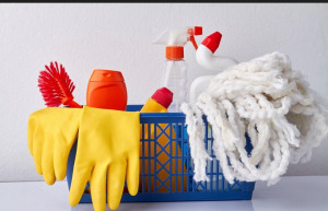 Photo de galerie - Disponible ménage 