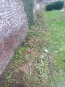 Photo de galerie - Paysagiste - Aménagement du jardin