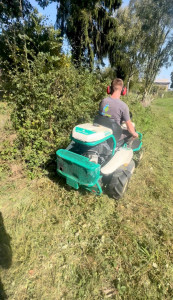 Photo de galerie - Débroussaillage extrême 