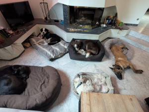 Photo de galerie - Pension familiale à la maison 