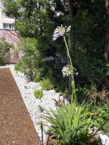 Photo de galerie - Paillage minéral - plantation - terreau de plantation 