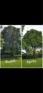 Photo de galerie - Avent et après travaux 