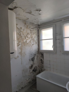 Photo de galerie - Nettoyage des murs et moisissures avant 