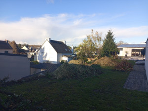 Photo de galerie - Haie de 60 m abattu et broyer