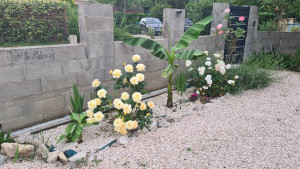 Photo de galerie - Désherbage 