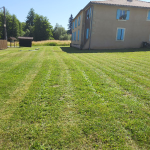 Photo de galerie - Tonte sur lignan de bazas 