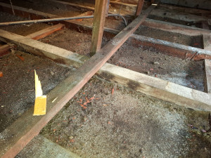 Photo de galerie - Charpente