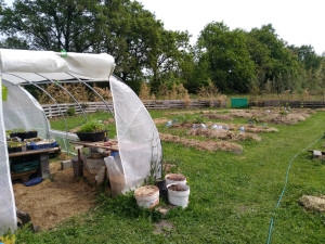 Photo de galerie - Mise en place d'une serre, de haie sèche de plates bandes de lasagne, tonte, plantations divers de plantes, fruitiers et légumes