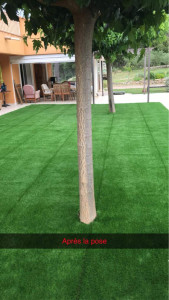 Photo de galerie - Après la pose de gazon 