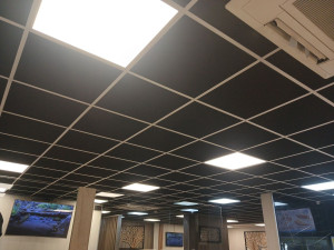 Photo de galerie - Électrique