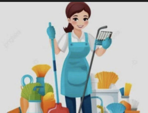 Photo de galerie - Ménage  et rangement 