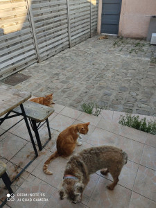 Photo de galerie - Août 2025