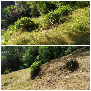 Photo de galerie - Tonte de pelouse - Débroussaillage